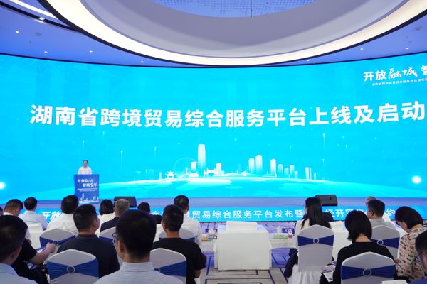 谈文胜参加湖南省跨境贸易综合服务平台发布仪式并赴企业调研